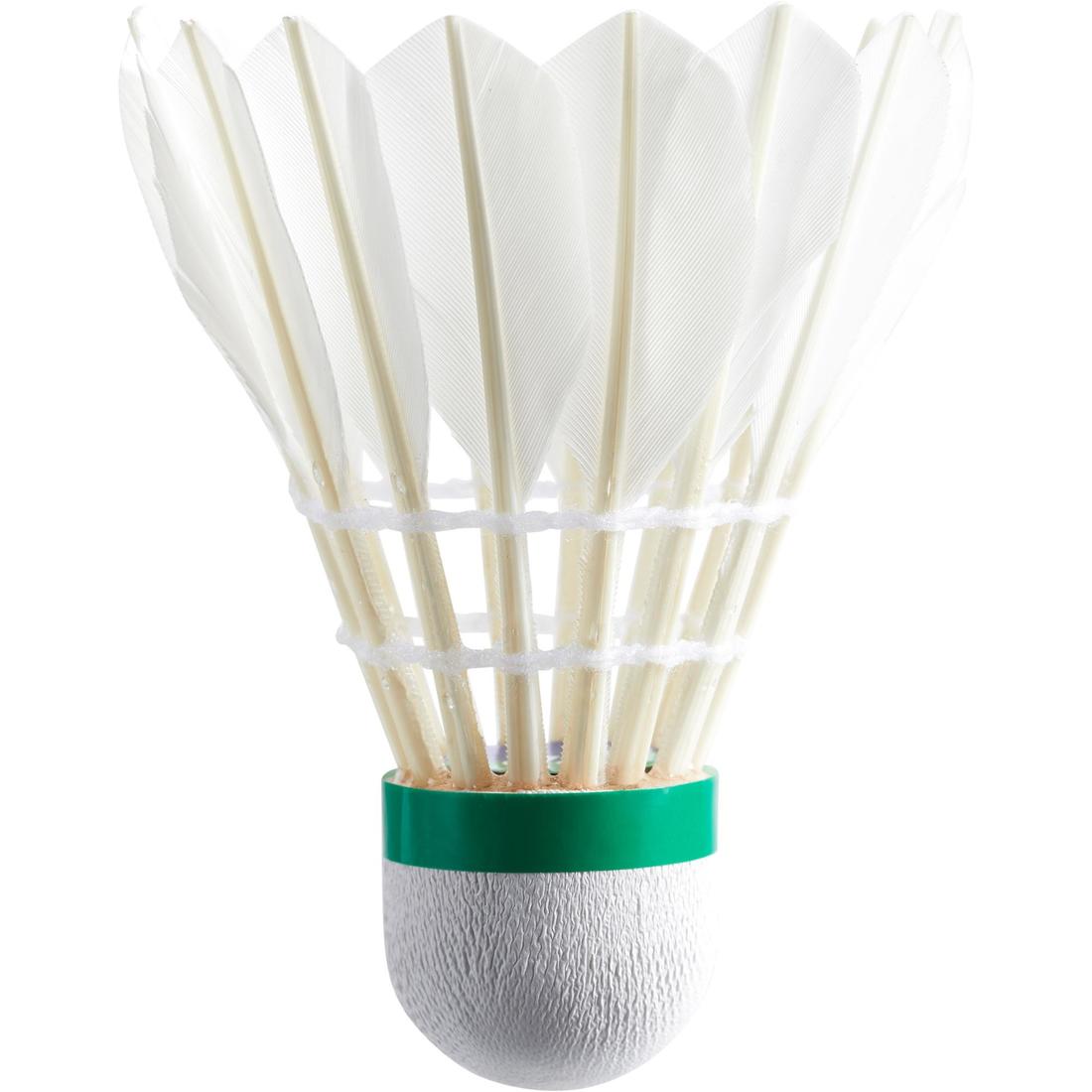 IMG_1008406529_2