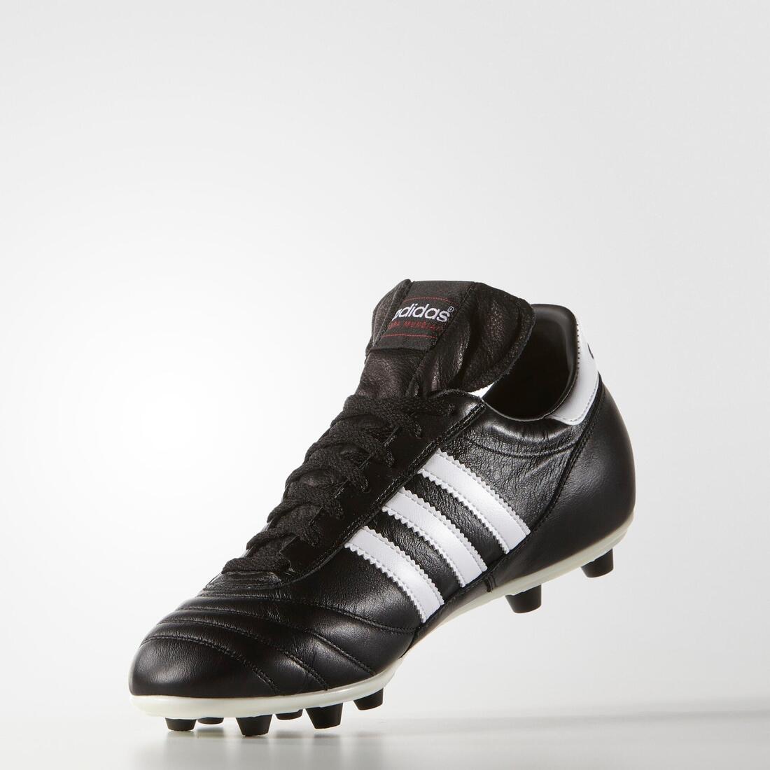 IMG_1004994312_8