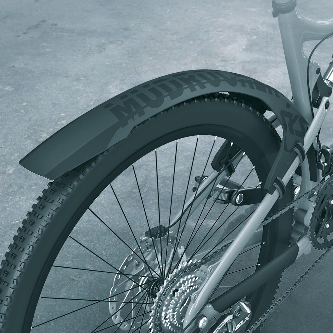IMG_8956158_7
