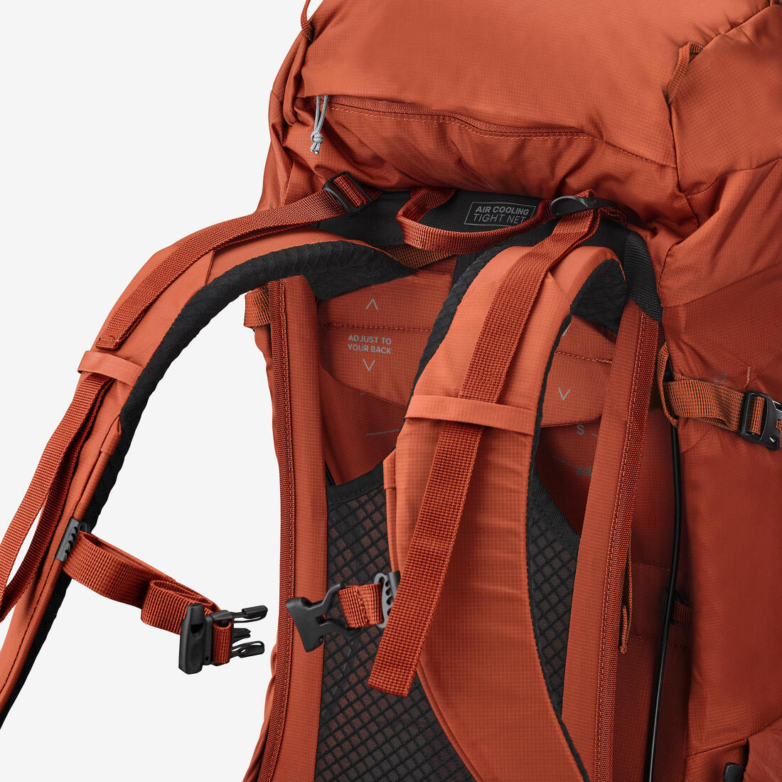 IMG_8920386_7