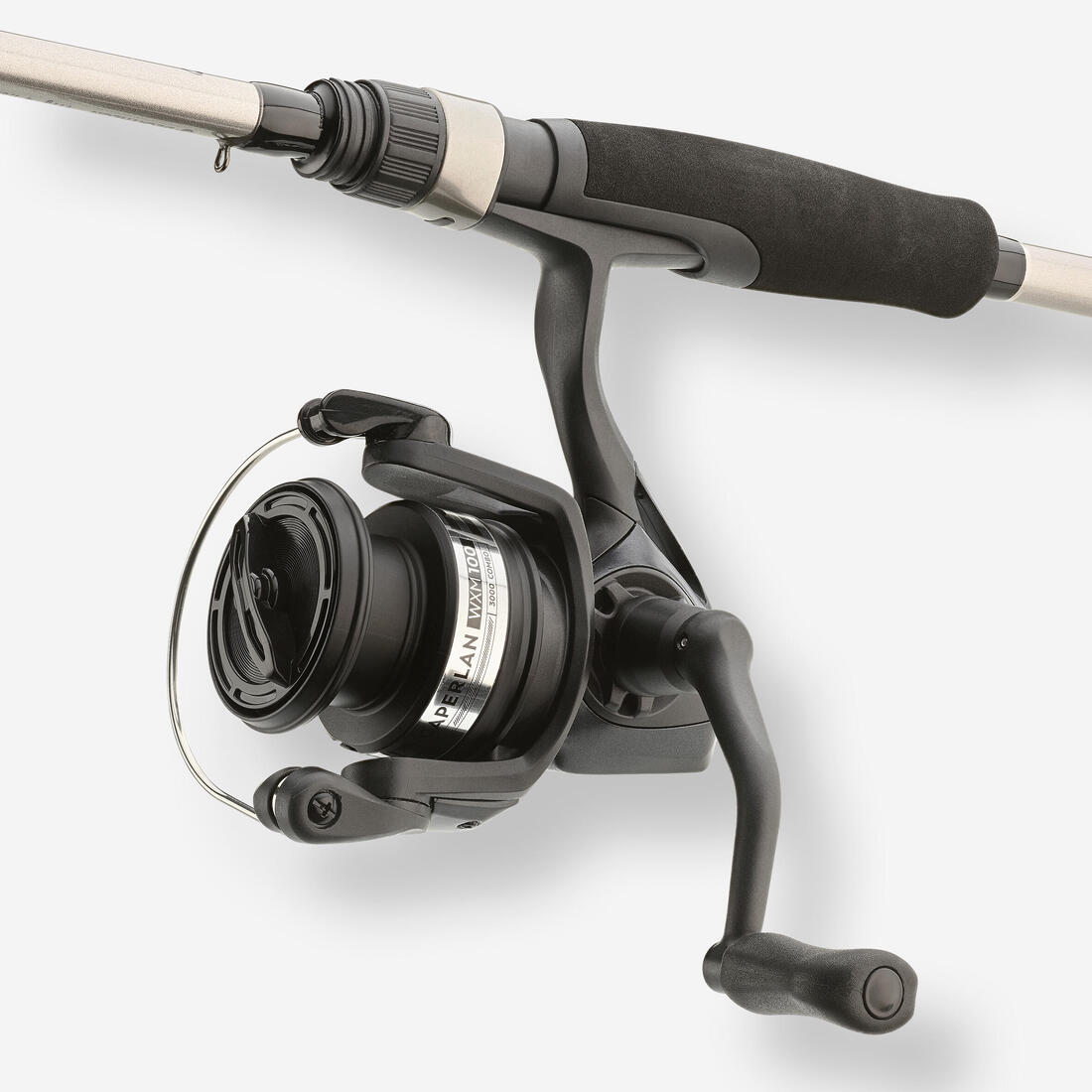 IMG_8739981_11