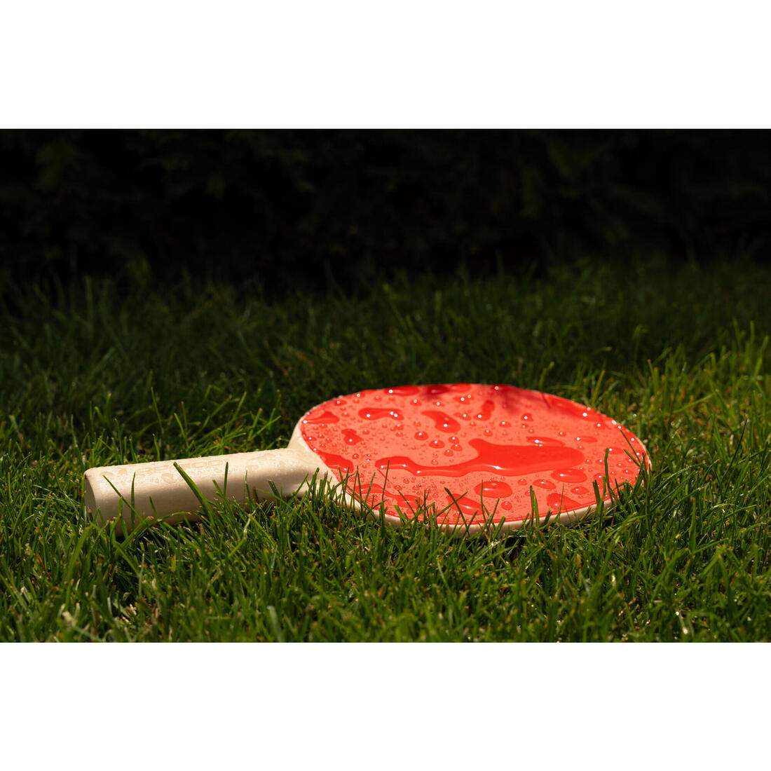 IMG_8817592_8