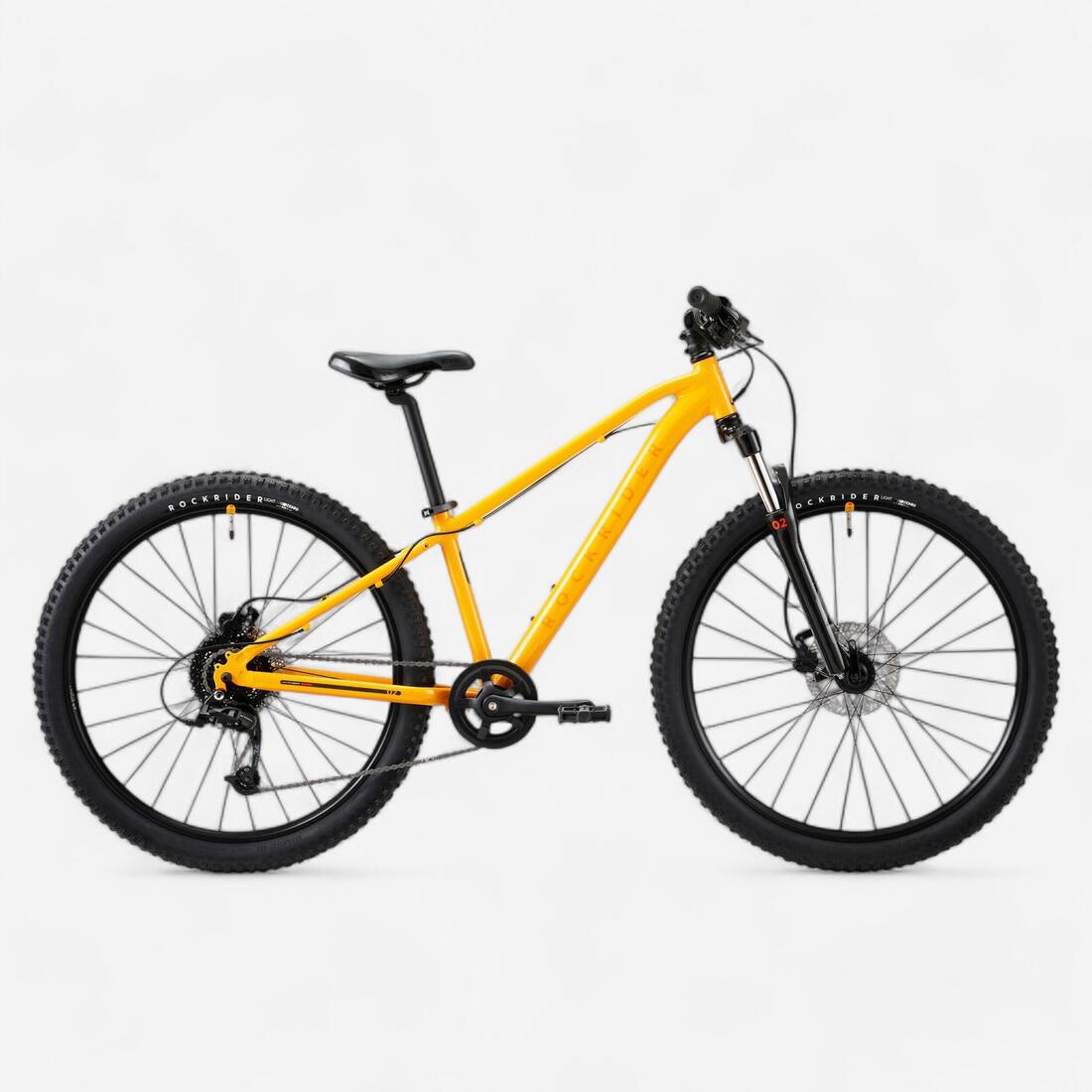 IMG_8615564_1