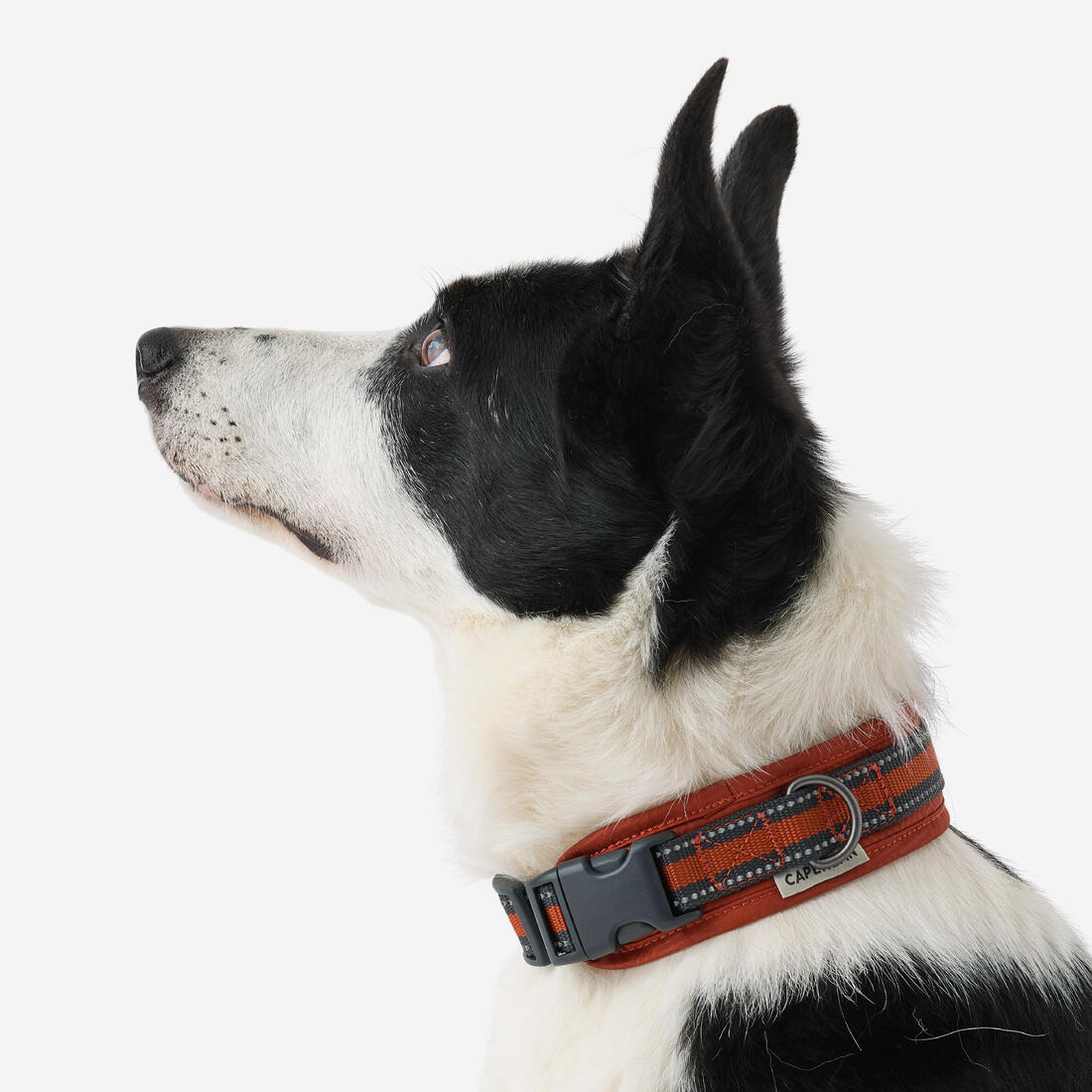 IMG_2819763