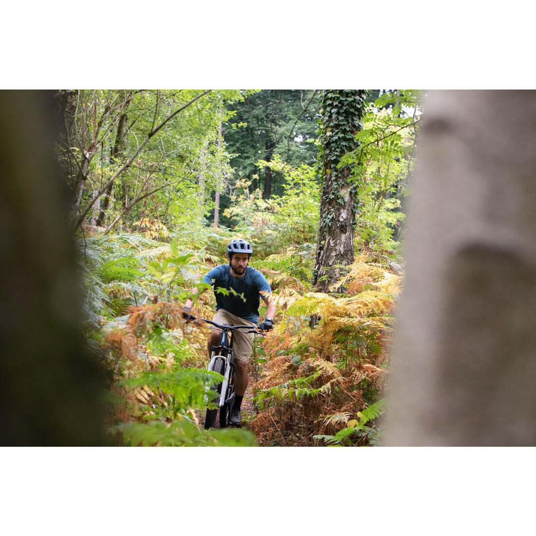 IMG_8668022_14