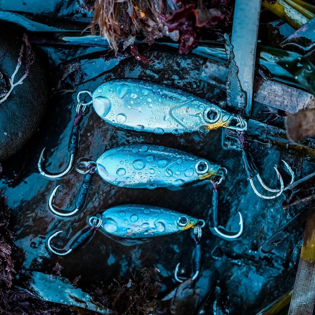 IMG_8559729_4
