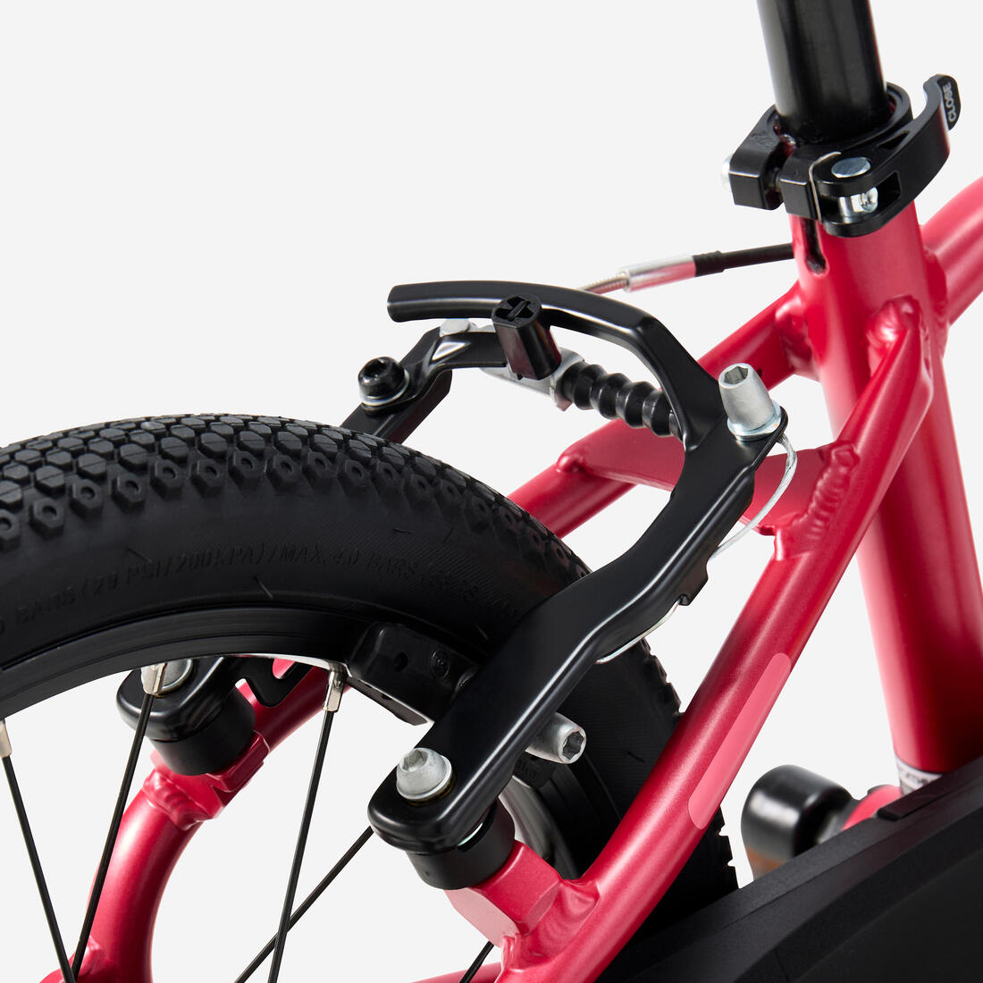 IMG_2879679