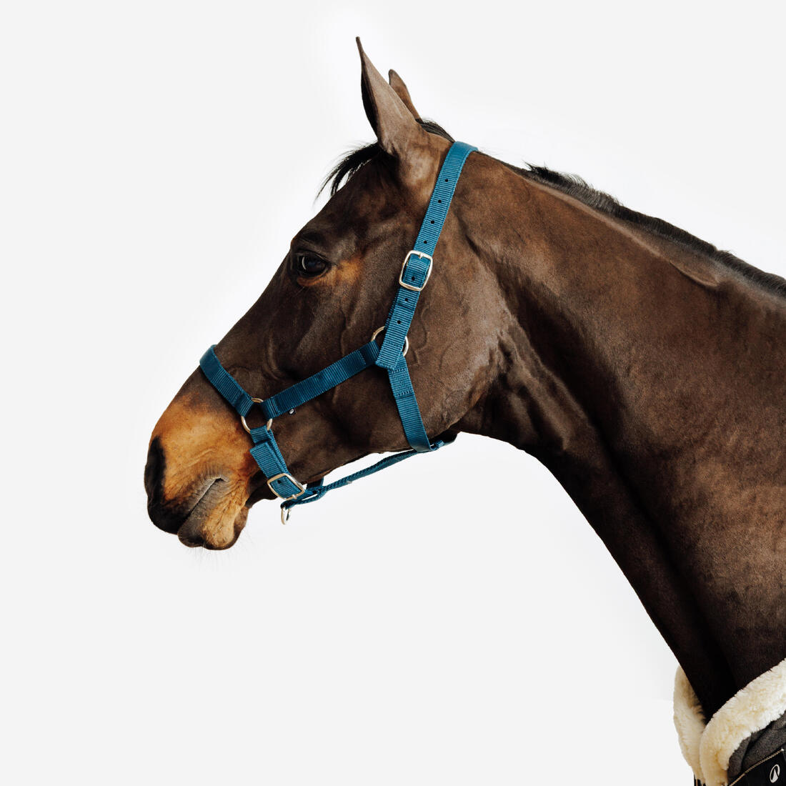 IMG_8916442_1