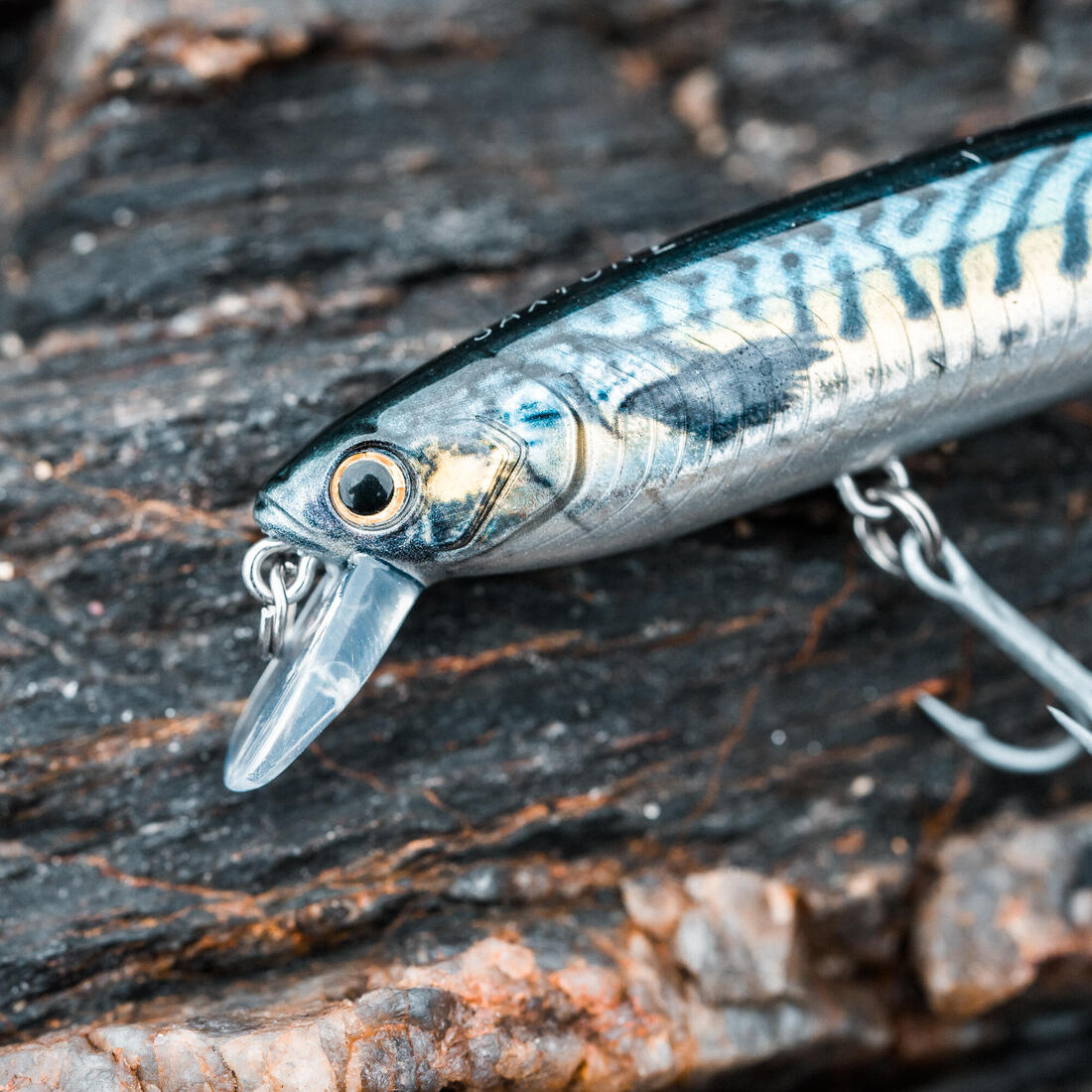 IMG_8734822_4