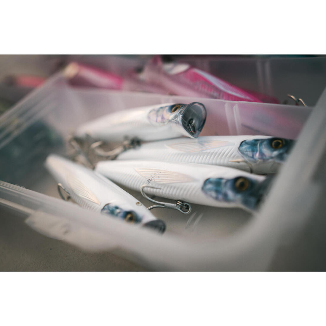 IMG_8881197_5