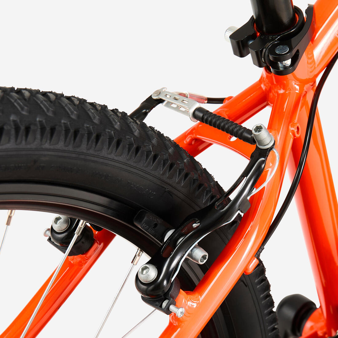 IMG_8774233_10
