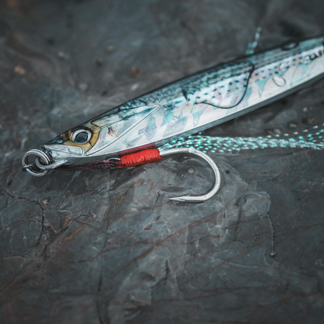 IMG_8553679_4