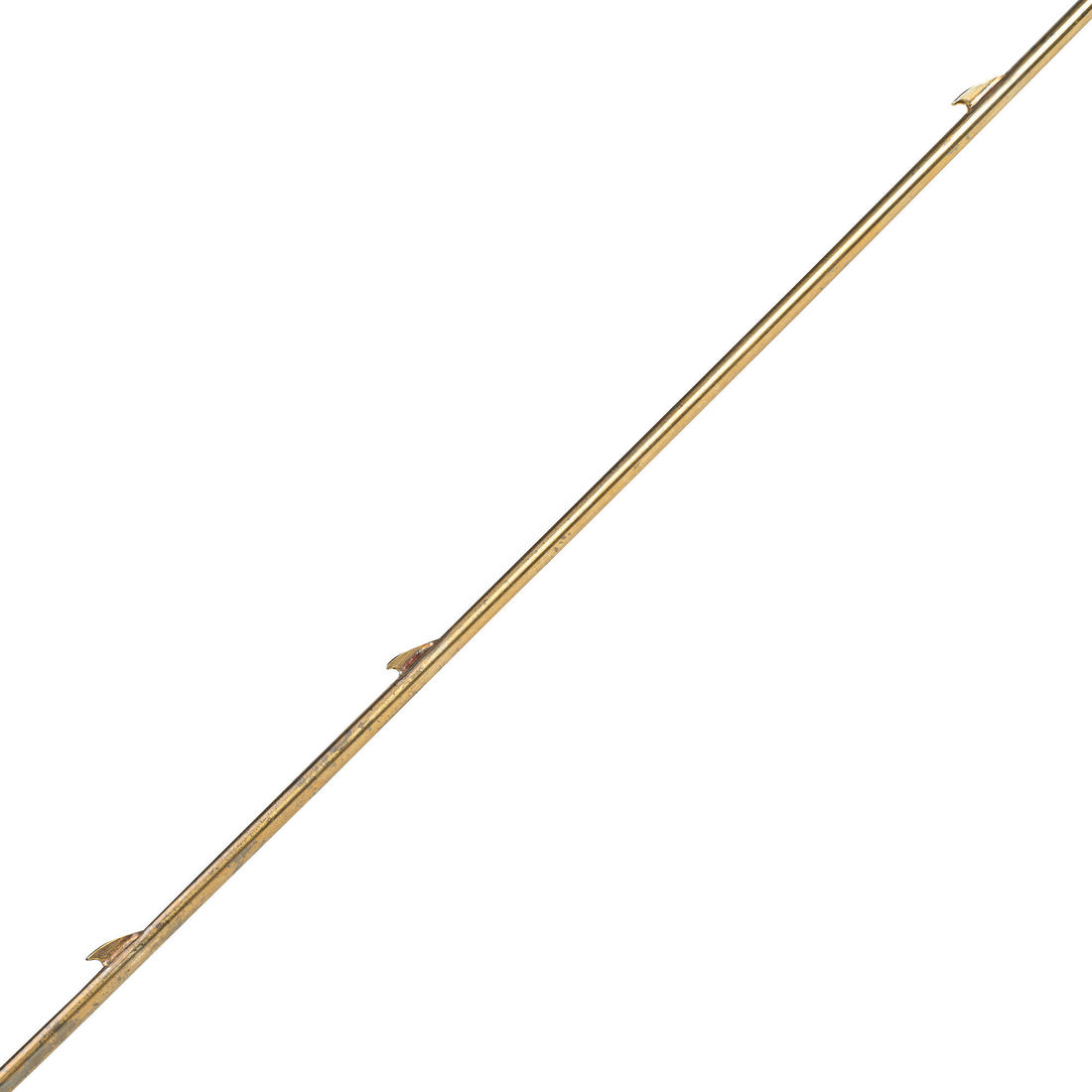 IMG_8589480_2