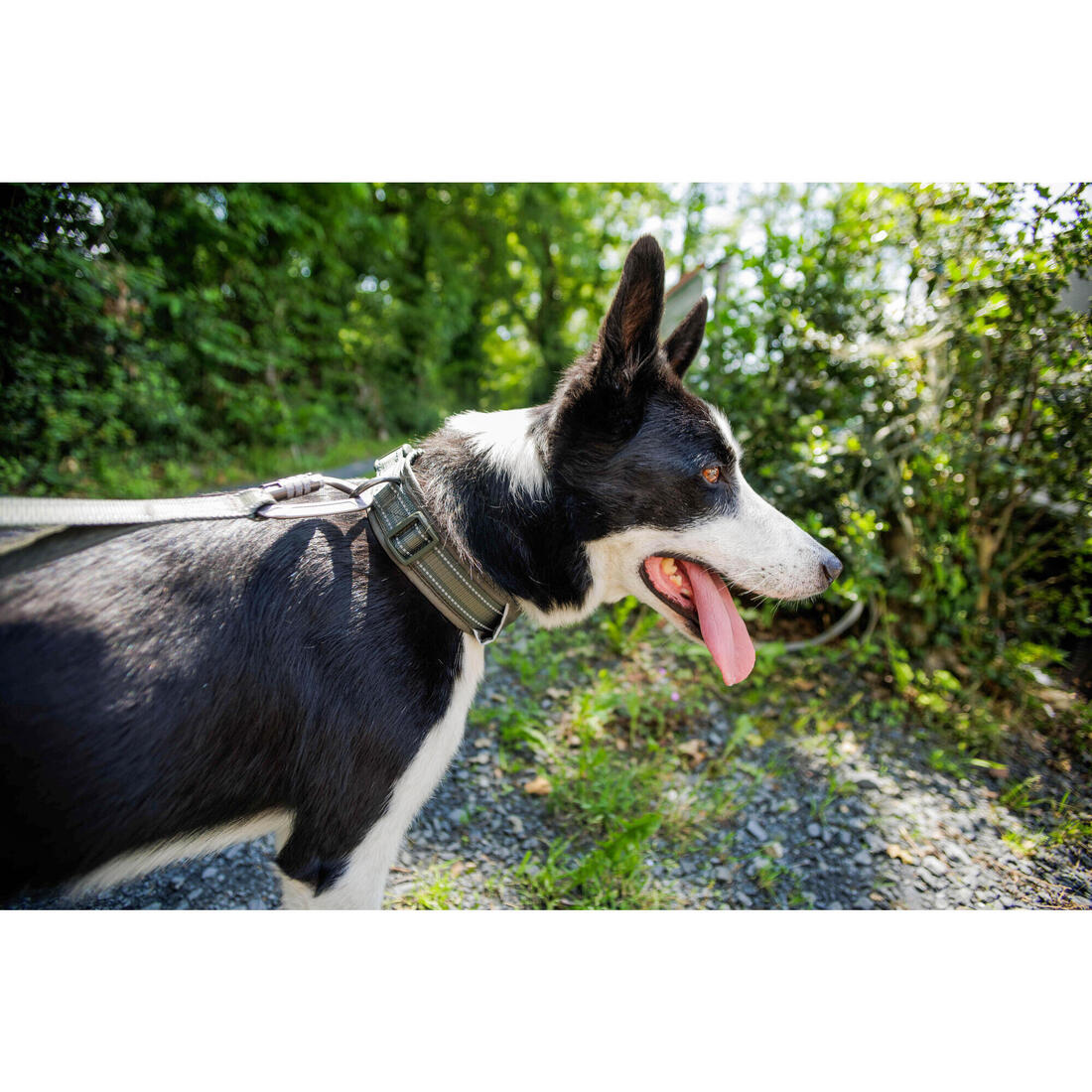 IMG_8807991_7