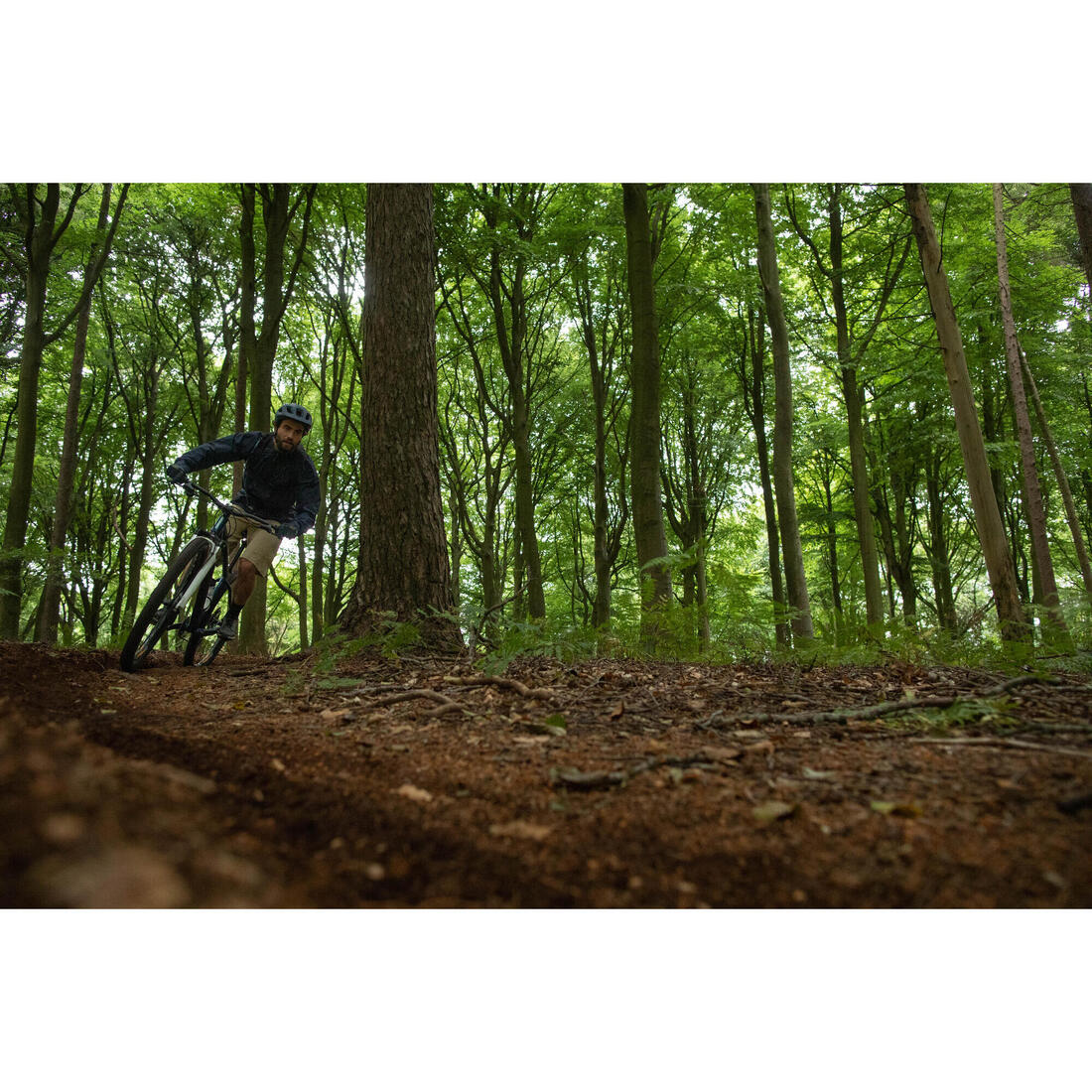 IMG_1008743203_9