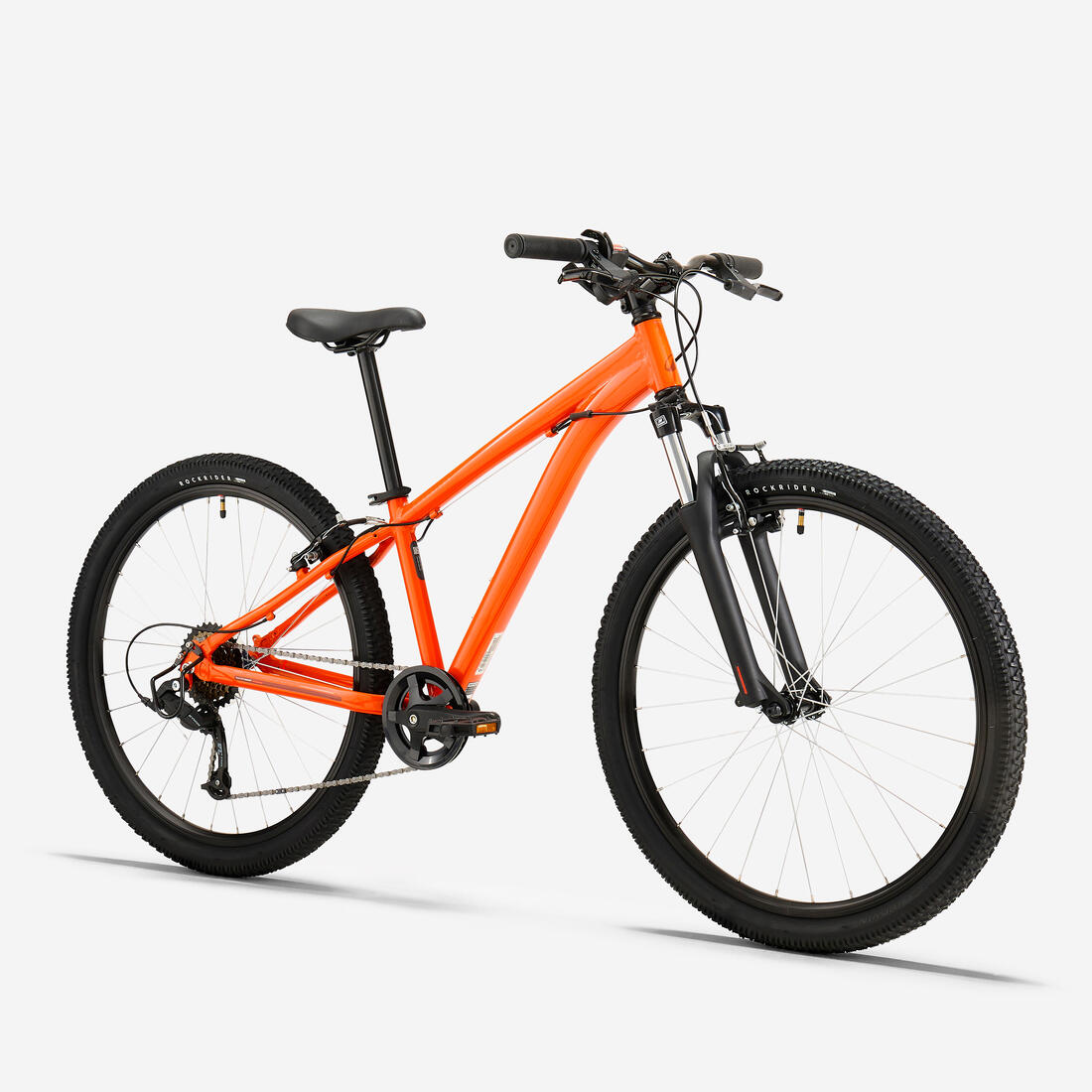 IMG_8774233_2