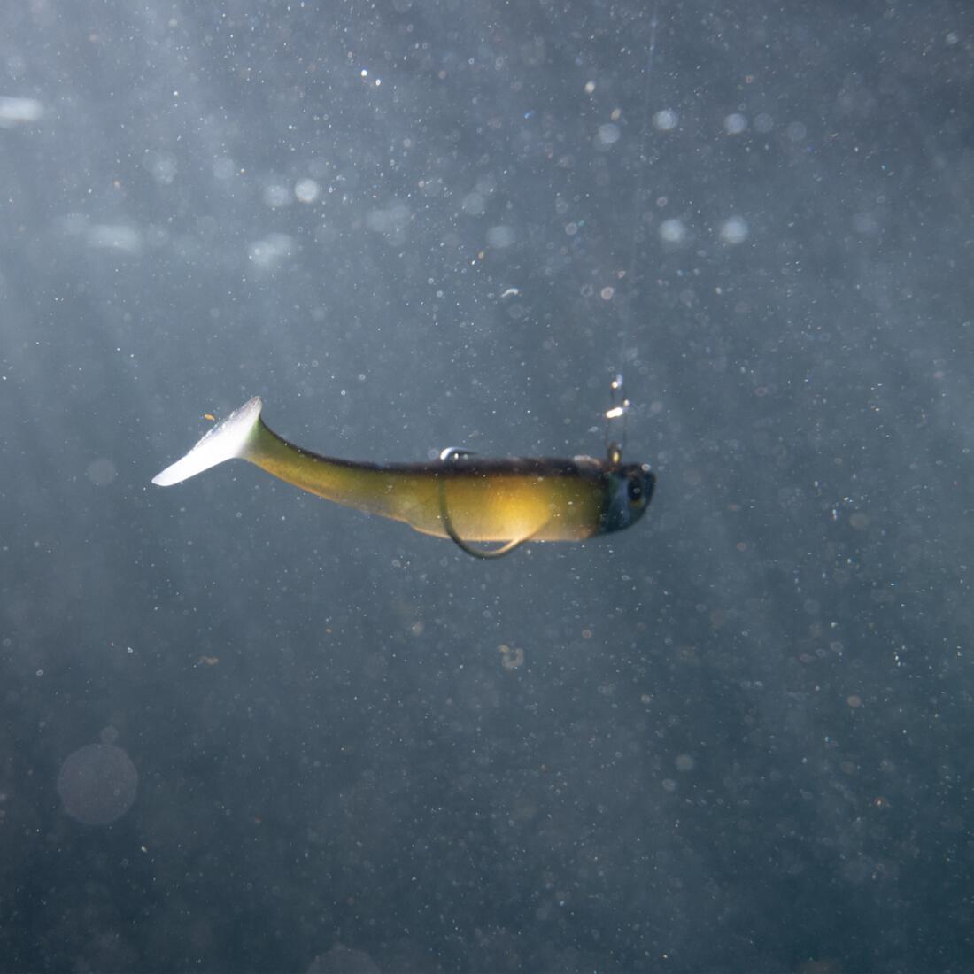 IMG_2034702