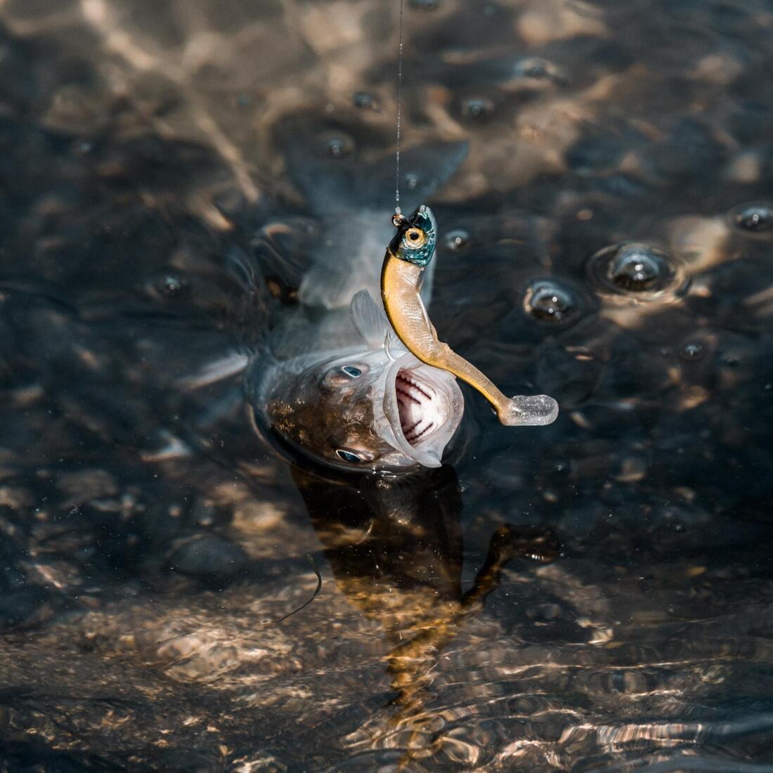IMG_8646475_11