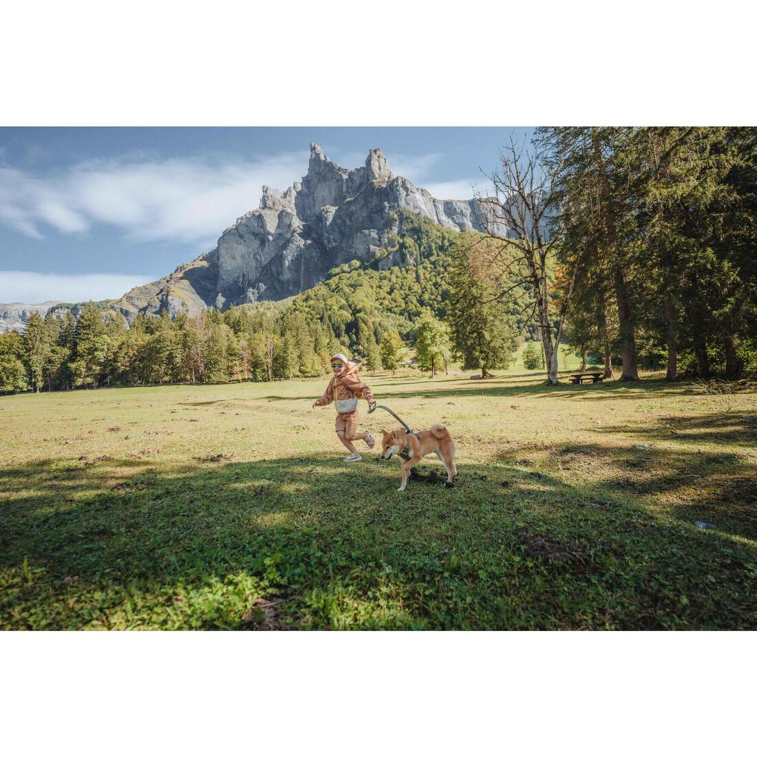 IMG_8916599_11