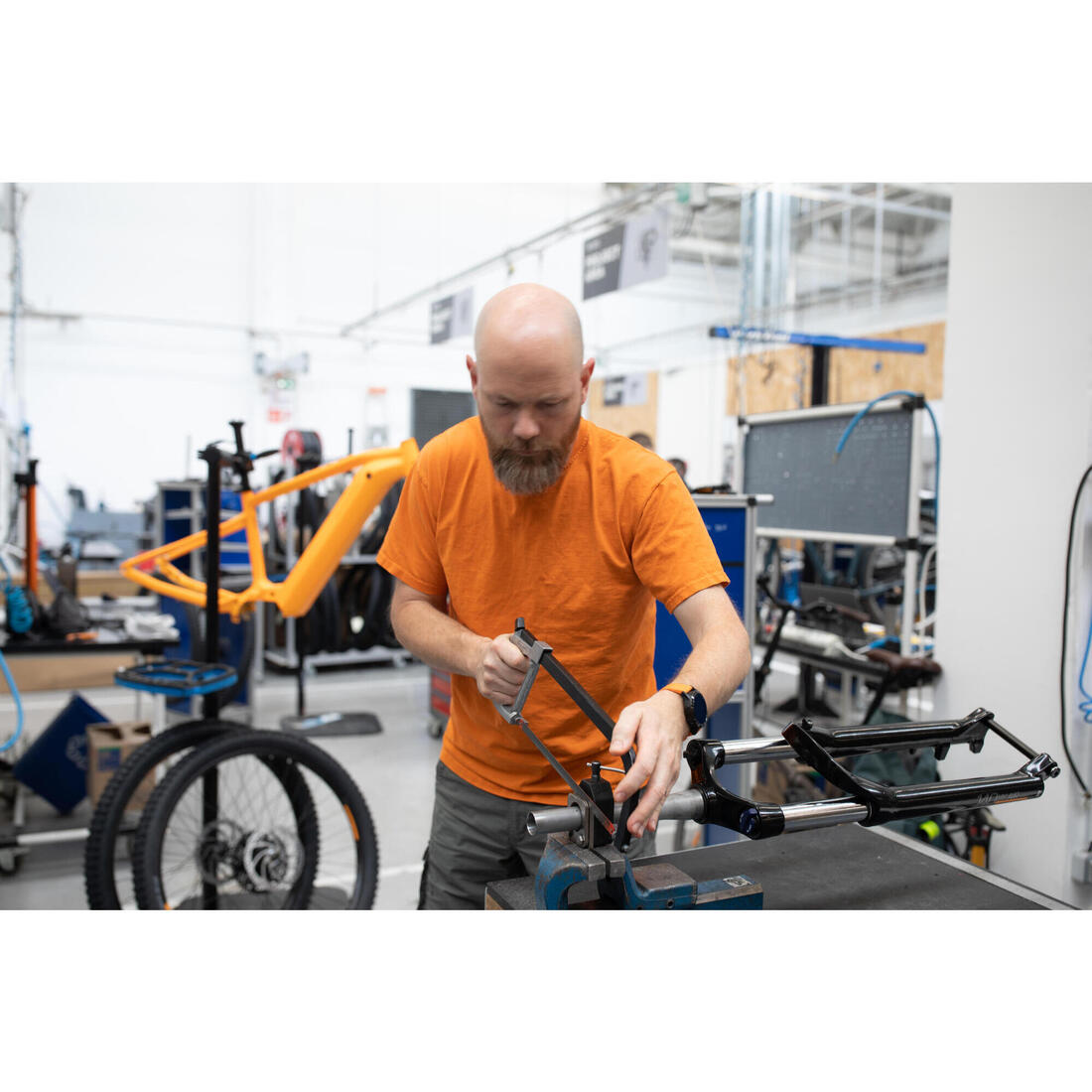 IMG_8732272_19