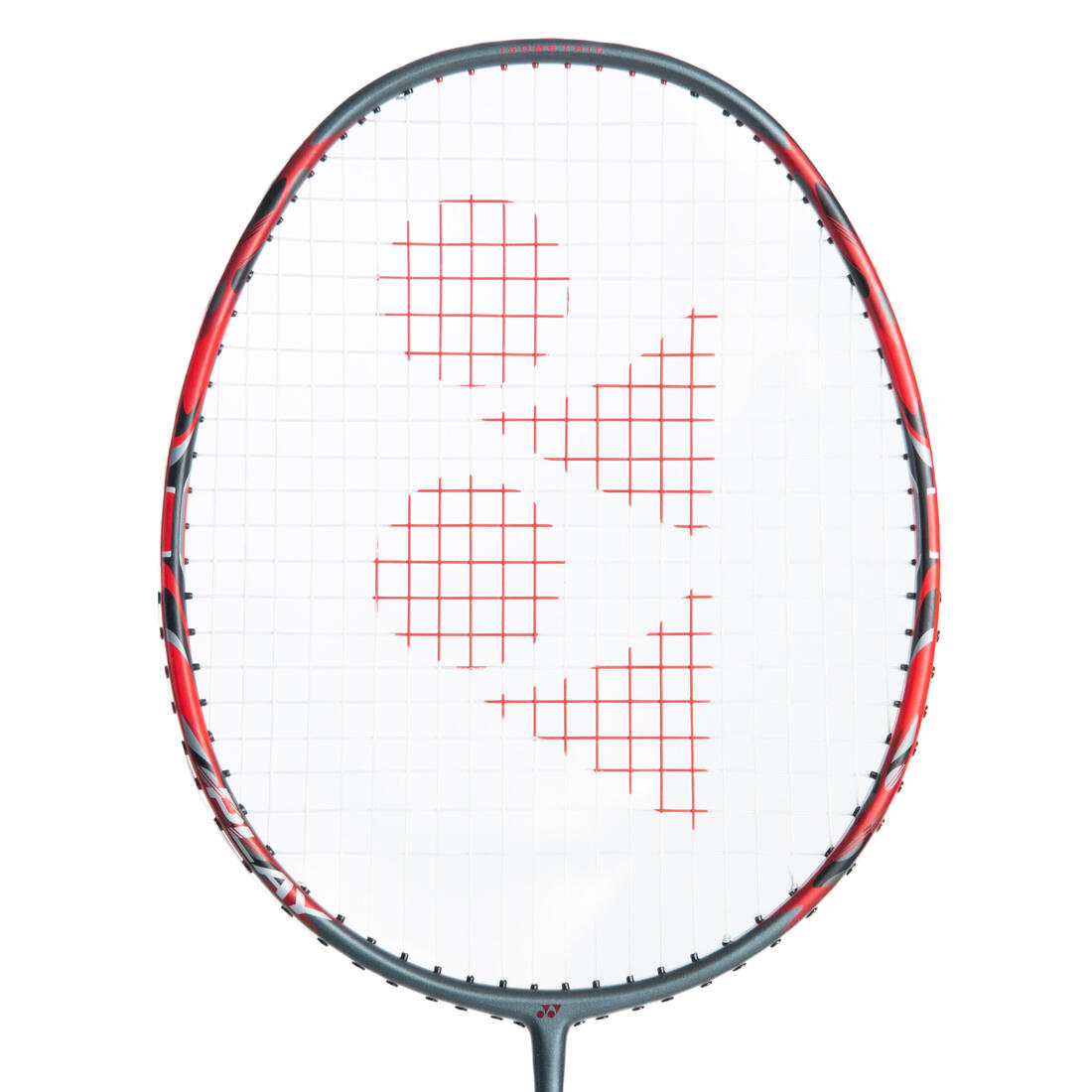 IMG_1008815426_5