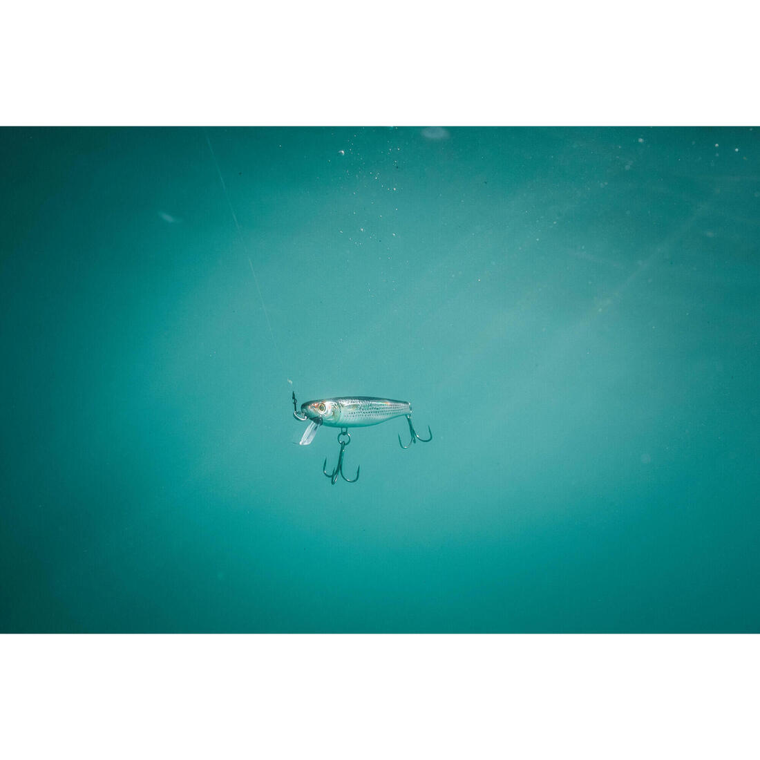 IMG_8755959_11