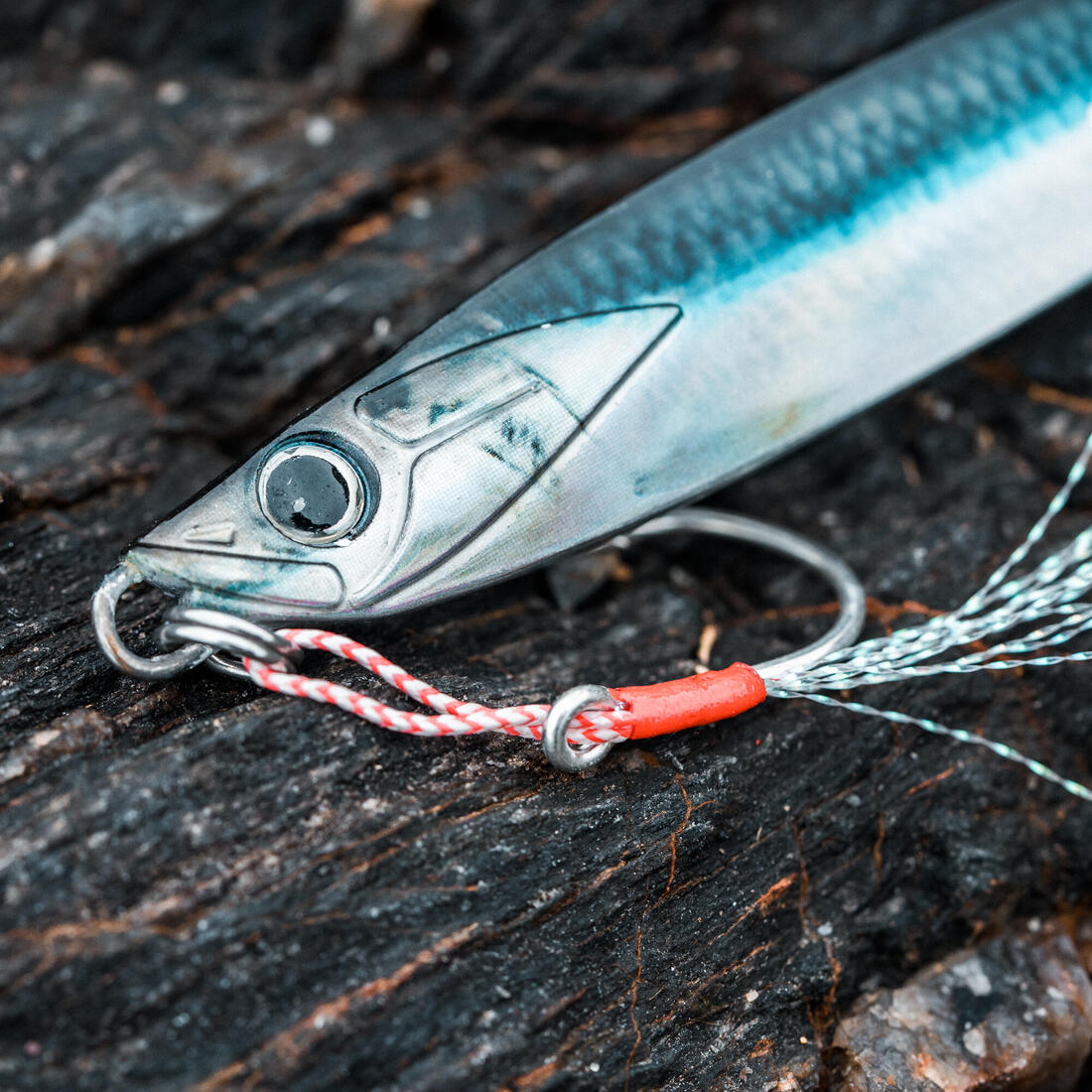 IMG_8646658_4