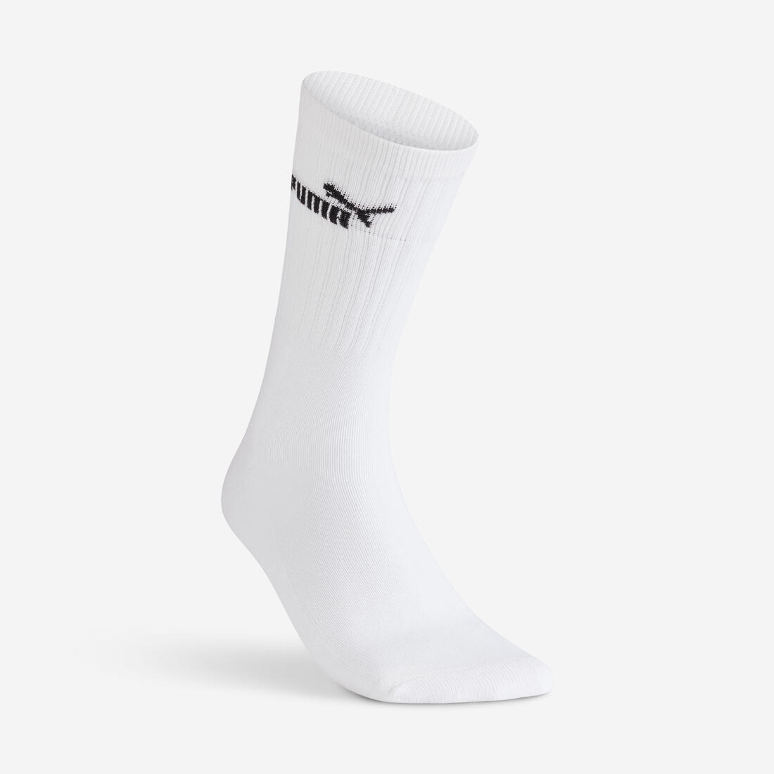 IMG_8999564_2