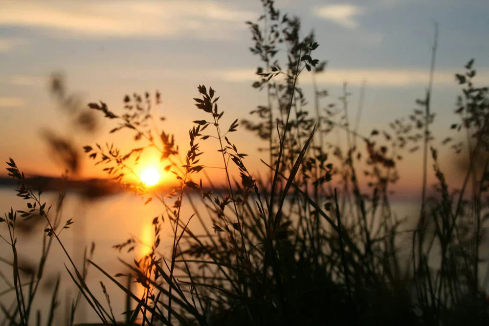 Pourquoi courir au lever du soleil est la meilleure façon de commencer la journée ?
