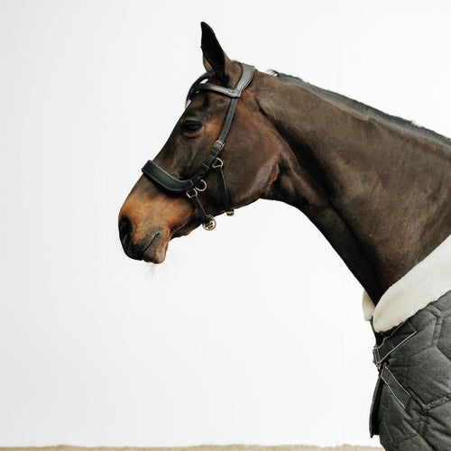 





Filet sans mors équitation Cheval et Poney