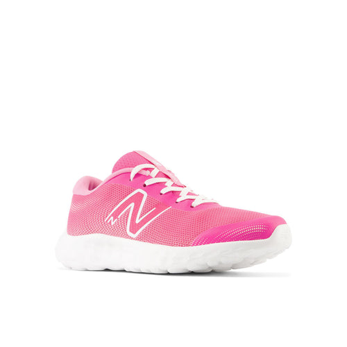 





NEW BALANCE 520 V8 ROSE JR