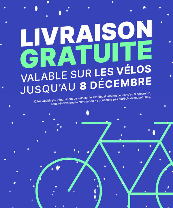 FAITES-VOUS LIVRER POUR NOËL