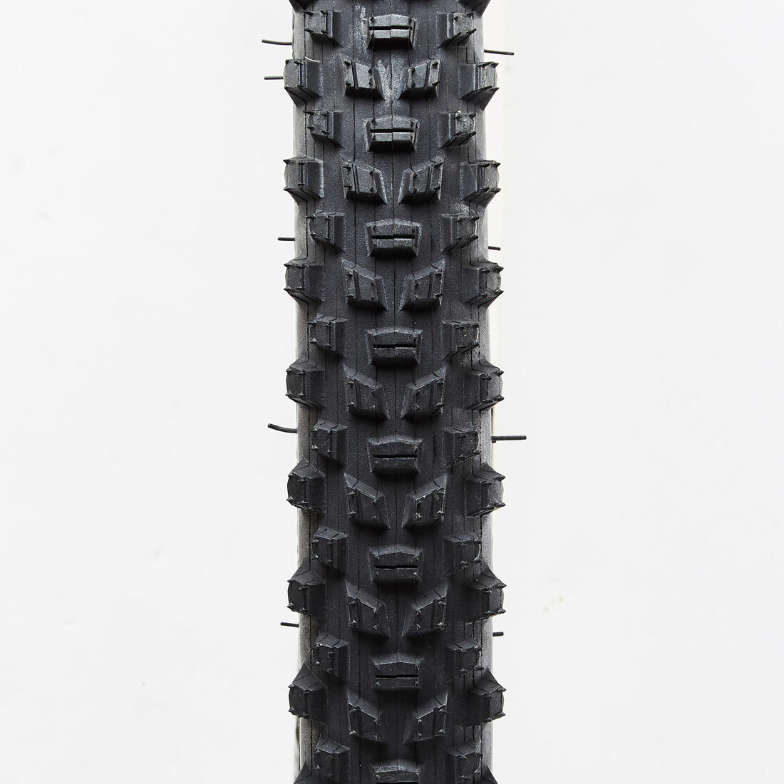 IMG_8555831_3