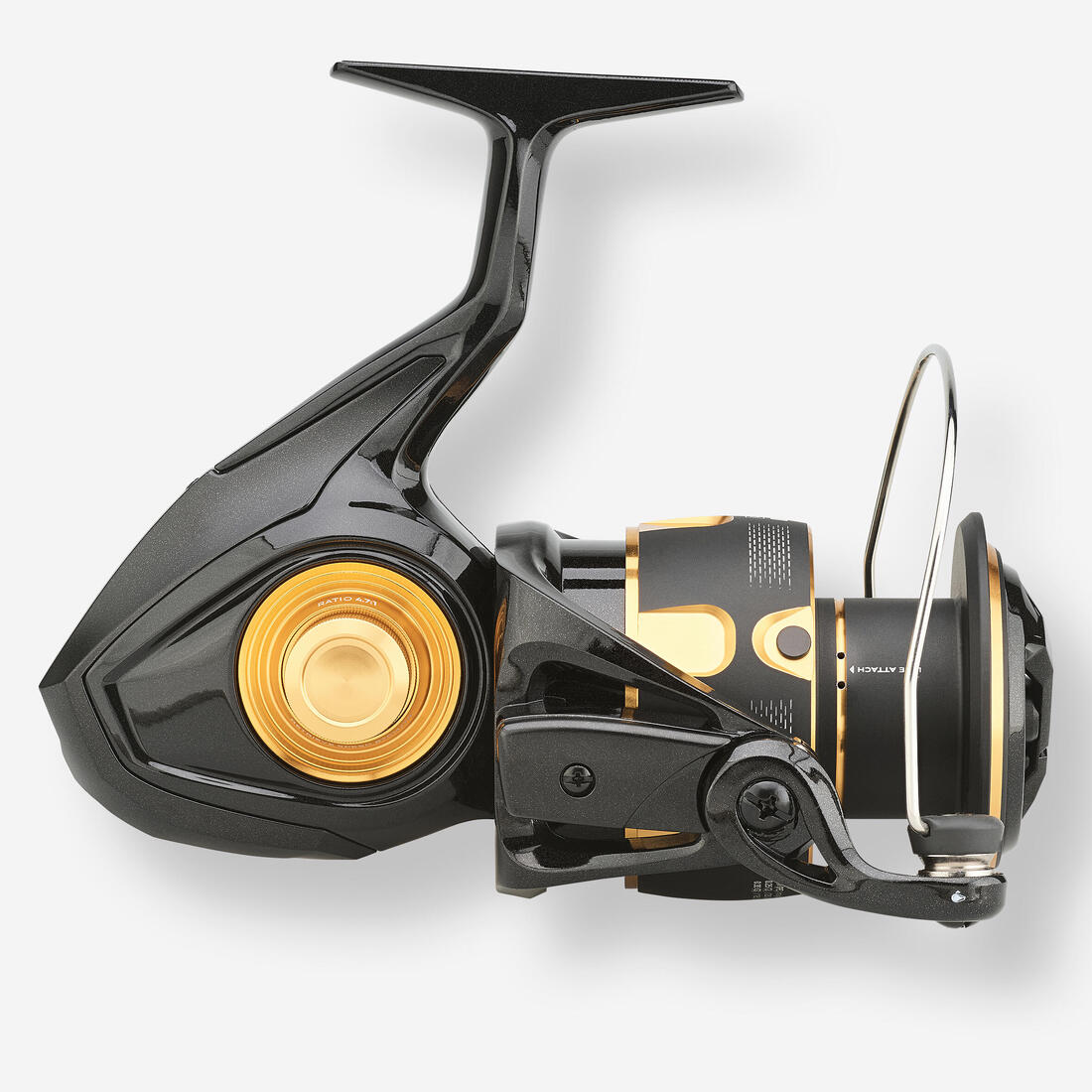 IMG_8955080_3