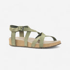 vert Kaki cendré
