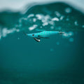 IMG_8873642_6