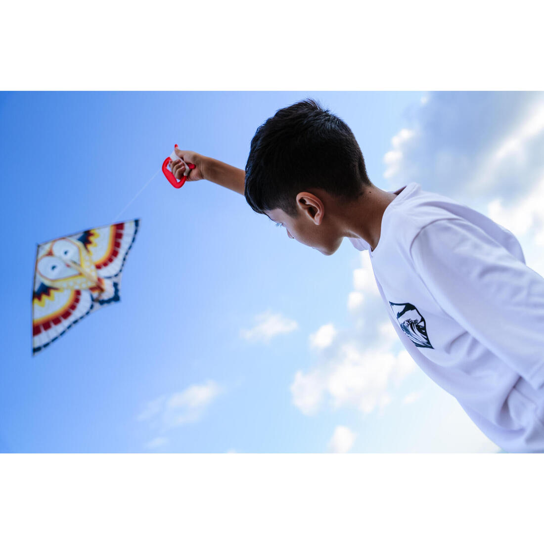 IMG_8871705_2