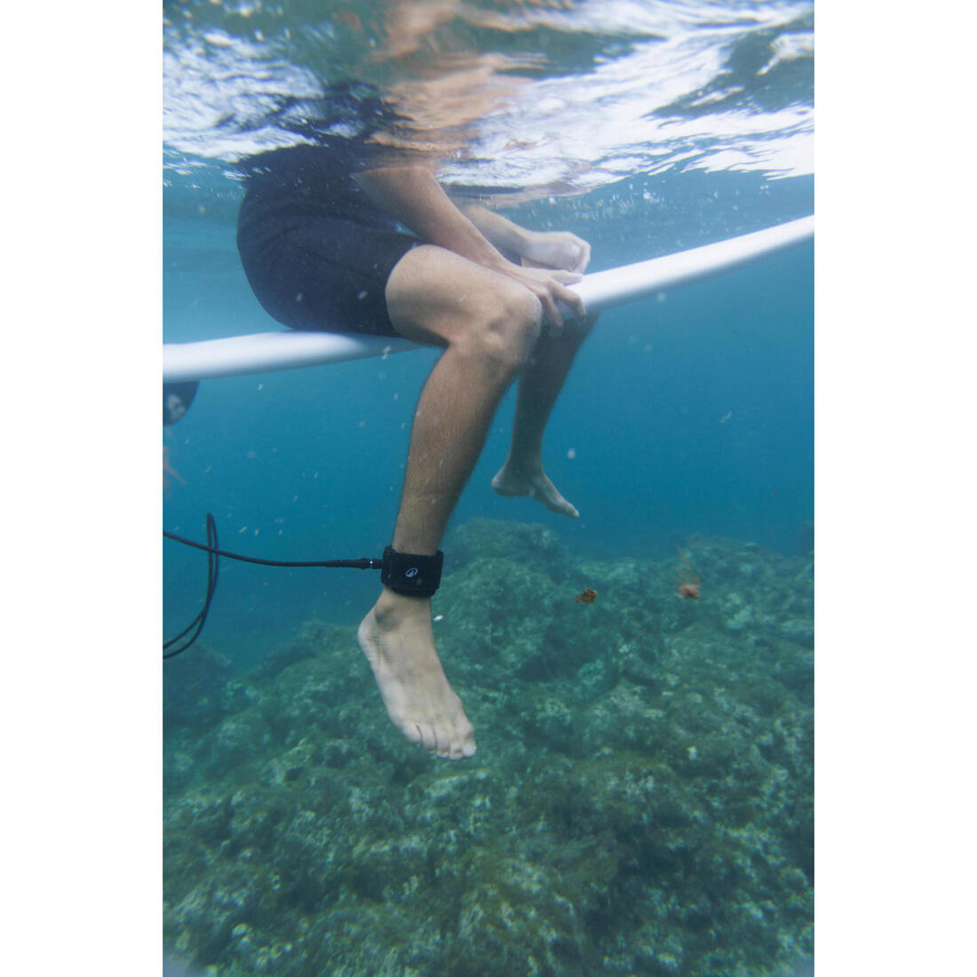 IMG_8882522_7