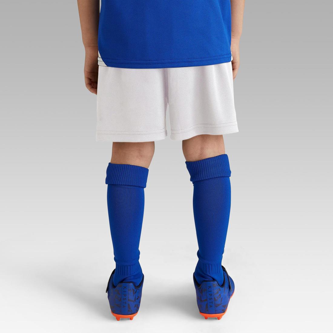IMG_8558493_2