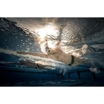 Product thumbnail 14 of 21