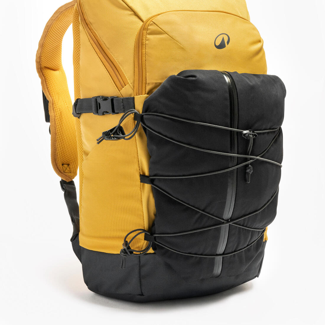 IMG_8971390_8