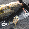 IMG_2652287