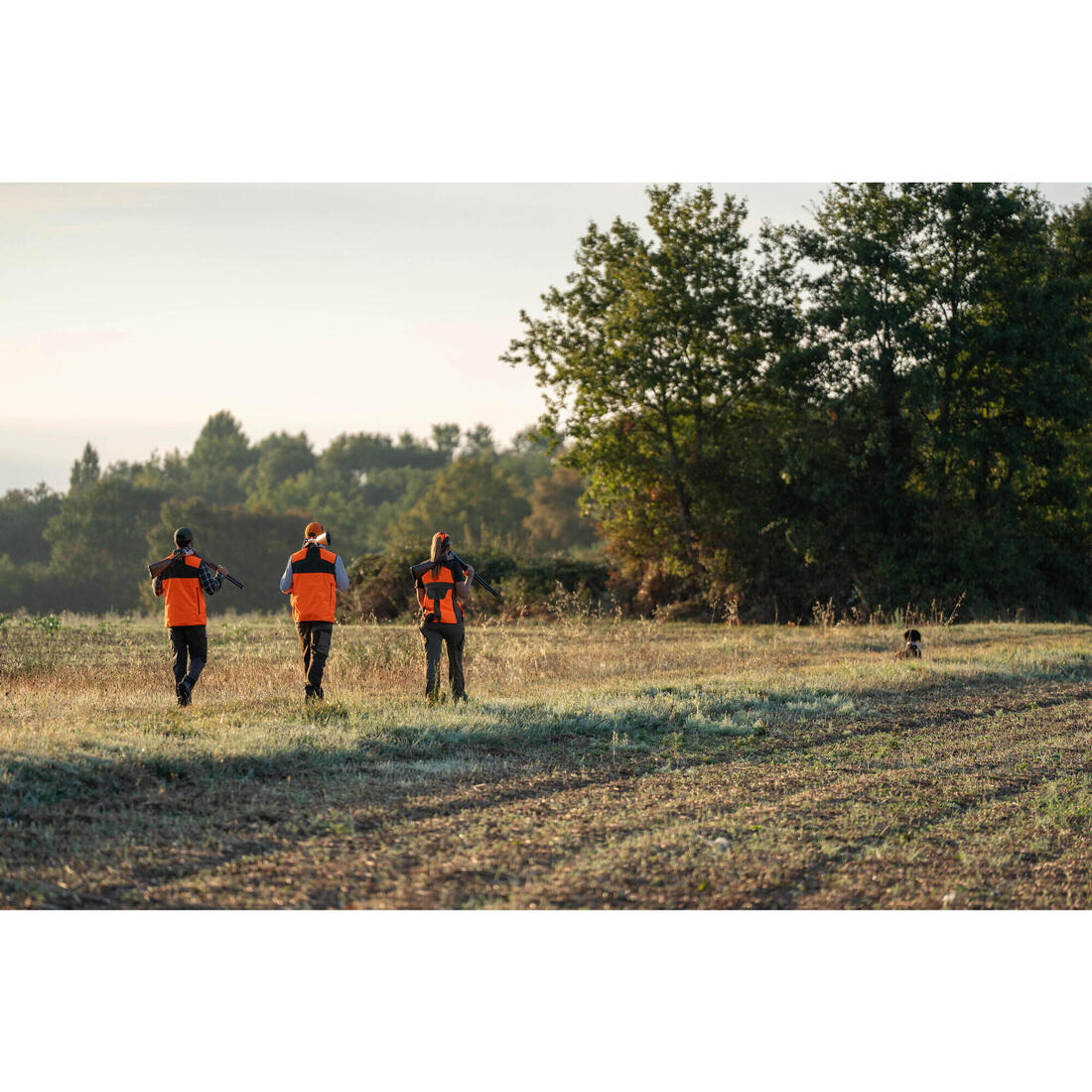 IMG_8758535_11