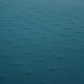 IMG_1986725
