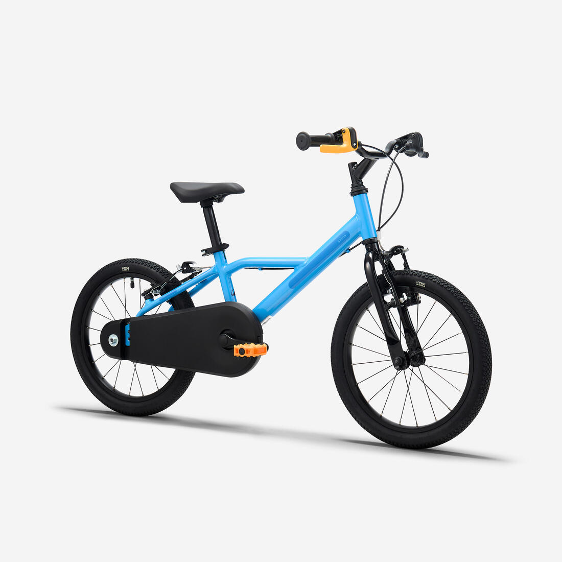 IMG_8911421_2