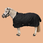 Product thumbnail 13 of 13
