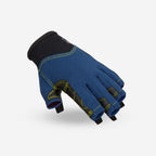 bleu turquin