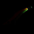IMG_8640170_5