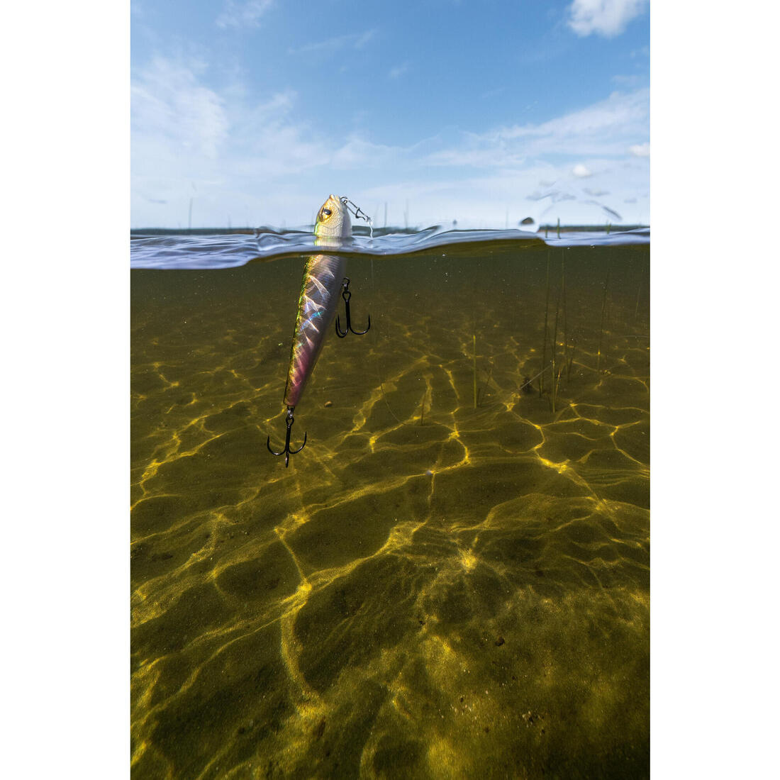 IMG_1967234