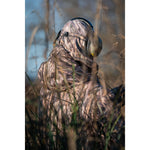 Product thumbnail 8 of 8